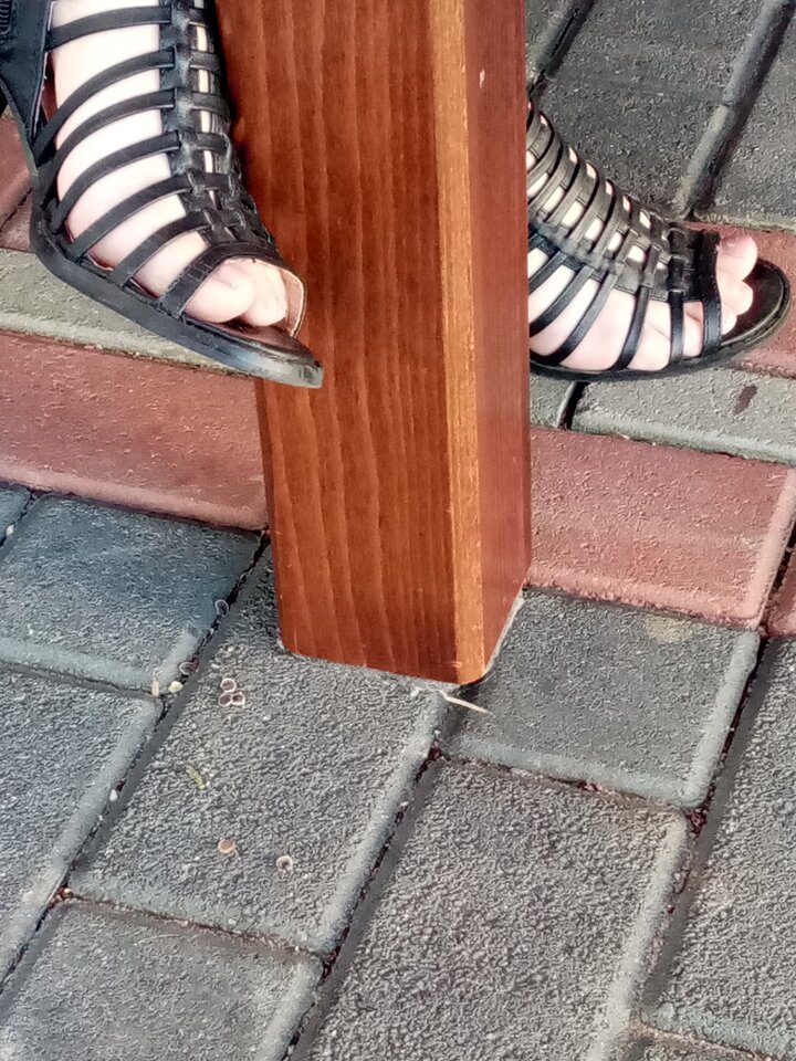 Rozmiar 34 (dorosła osoba) 2.jpg - HASKI1