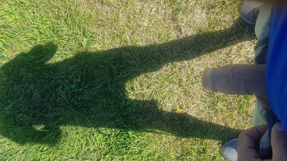 20200816_100711.jpg - loki534