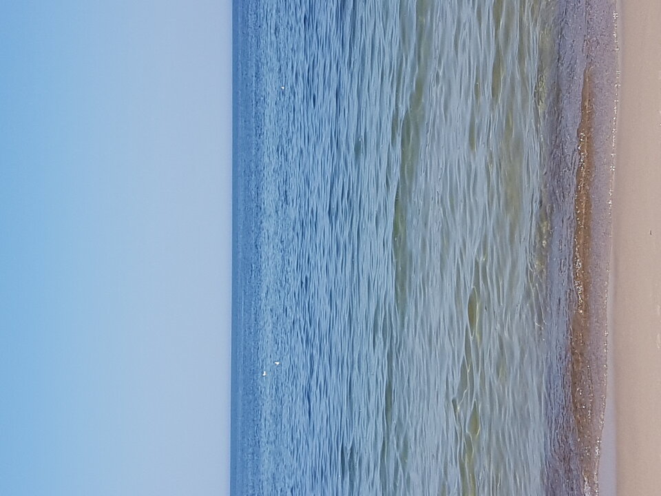 15975697452107552974381896337707.jpg - Onilubiasex