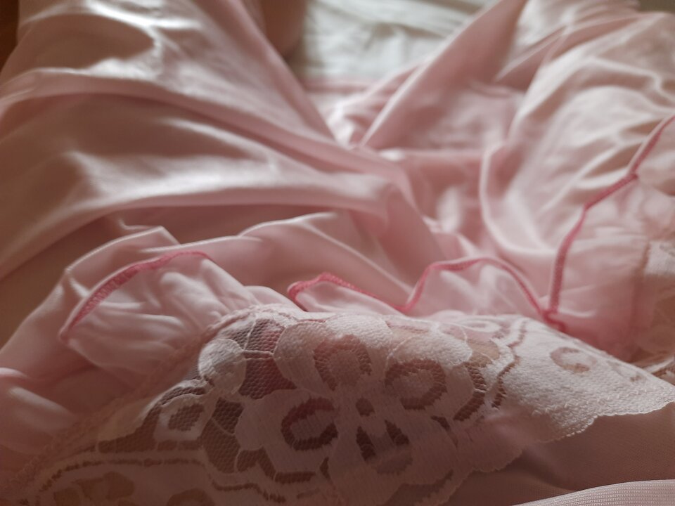 15975732256573594266849498695158.jpg - Palciusia