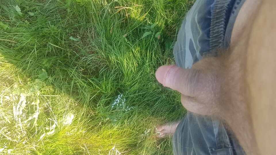 15975848099237865982573655651776.jpg - miro1011