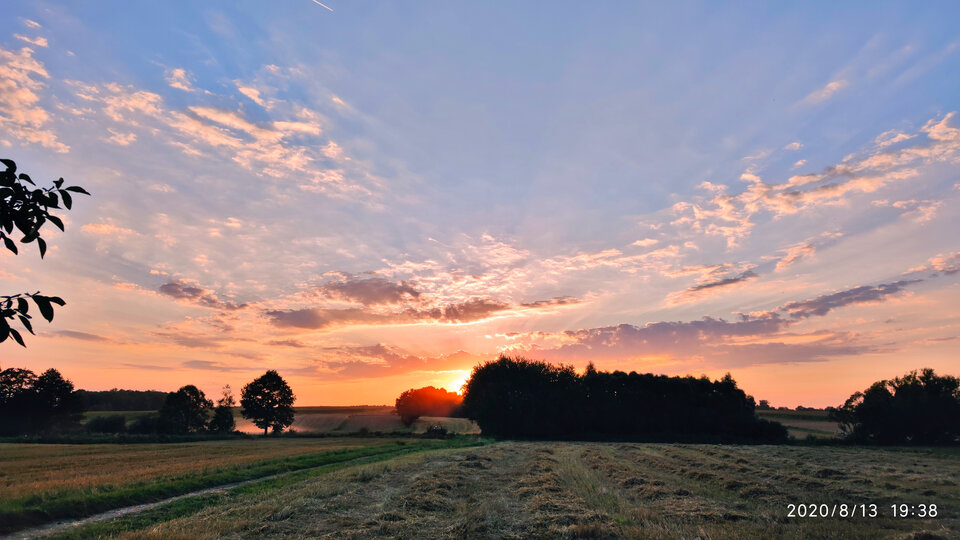 IMG_20200813_193811.jpg - FoKam431