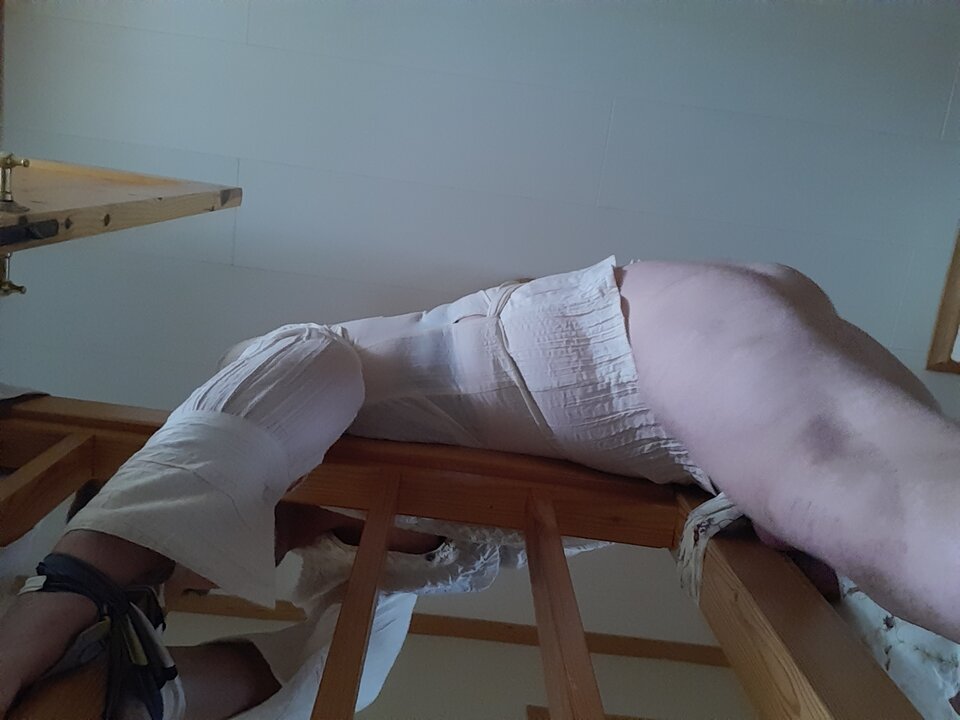 15975907786378121512478951670005.jpg - Palciusia