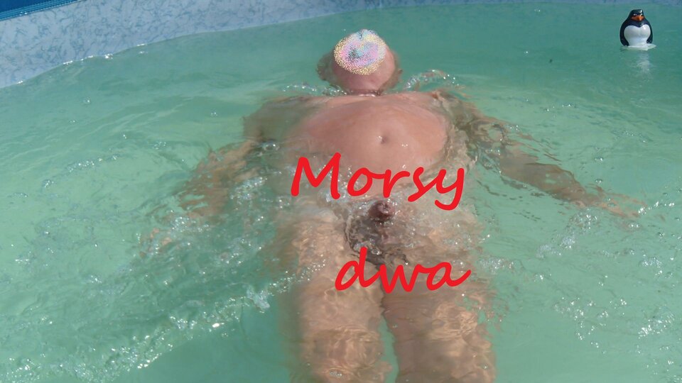 Zbiornik 1298 - Morsy_dwa