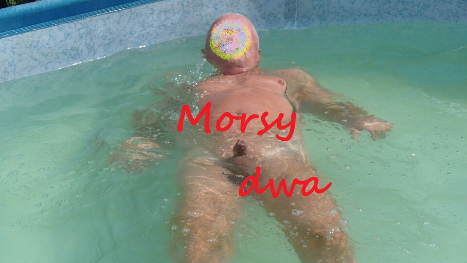 Zbiornik 1299 - Morsy_dwa