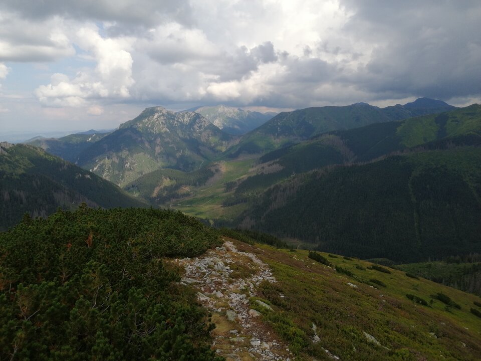 IMG_20200814_144838.jpg - Angel78