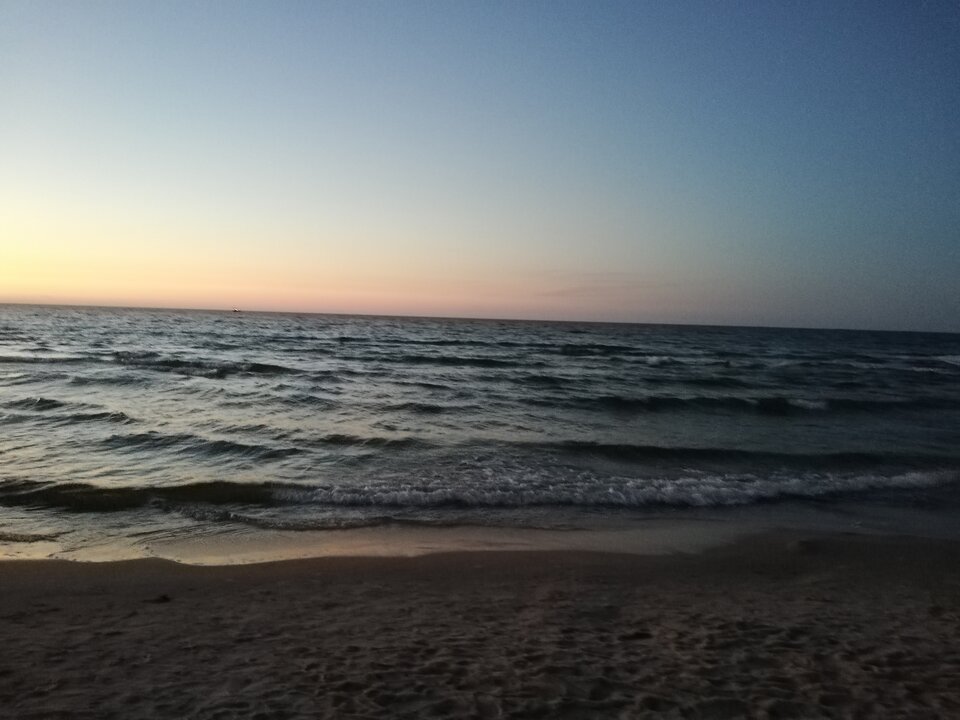 IMG_20200813_210627.jpg - lulu01