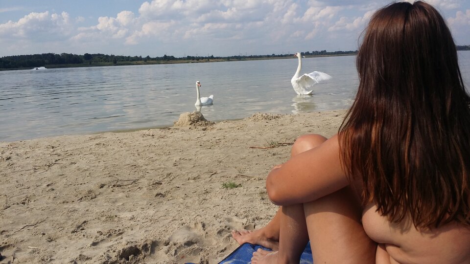 20200817_144056.jpg - nowipoczatkujacy