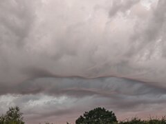 IMG_20200728_203950.jpg