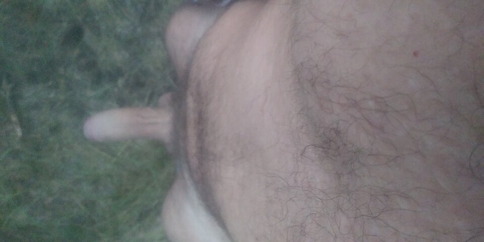 20200810_203028.jpg - PolDic