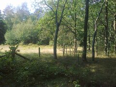 Zdjęcie0342.jpg