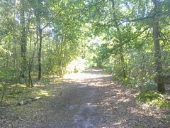 Zdjęcie0347.jpg