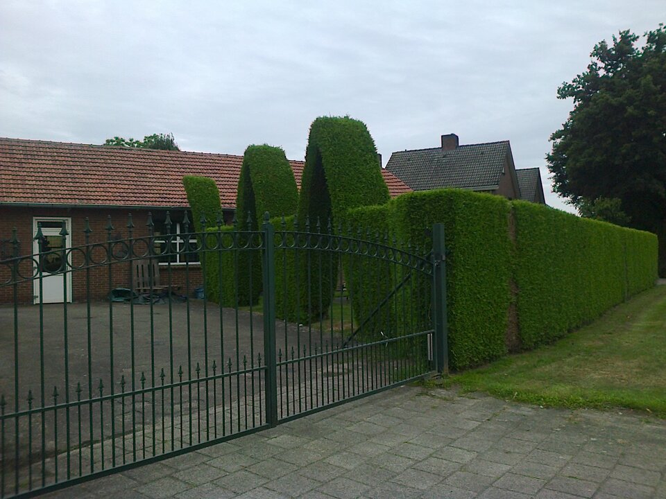 Zdjęcie0184.jpg - tomek3576