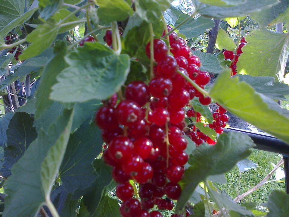 Zdjęcie0254.jpg - tomek3576