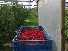 Zdjęcie0251.jpg