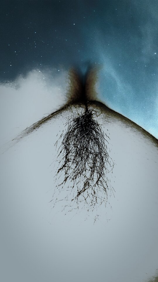 IMG_20200818_220949_024.jpg - MBSL