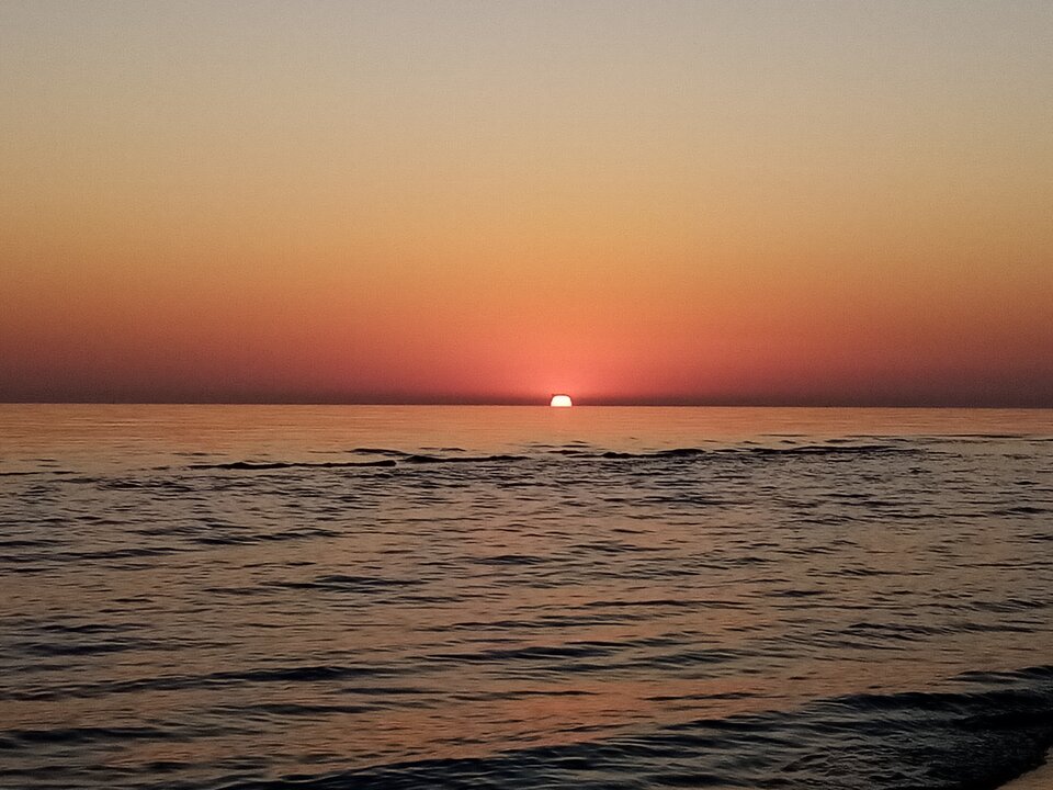 IMG_20200816_052554.jpg - silk82