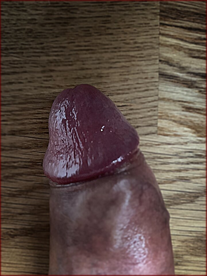 Żołądź - jabollo9987