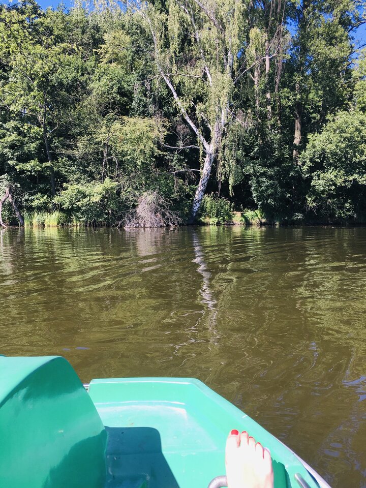 D4C9052D-1ED6-47D4-B625-C1922E5C8171.jpeg - CiekawaParaPoz