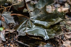 Powoli czuć jesień....