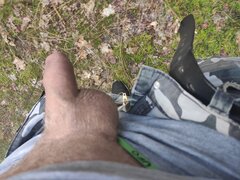 Poranny spacer po lesie natura się budzi do życia. A oprucz ko