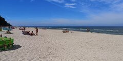 IMG_20200820_124016.jpg