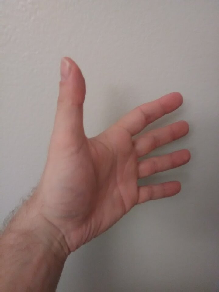 Dłoń.jpg - Ernhardtjr