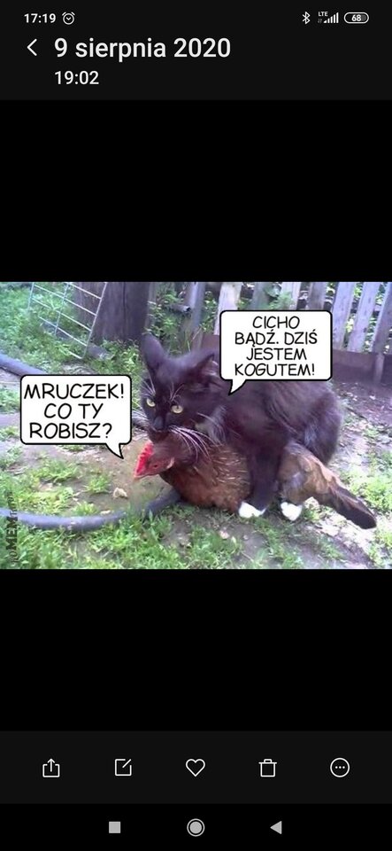 Screenshot_2020-08-20-17-19-01-039_com.miui.gallery.jpg - Scorpionik712510