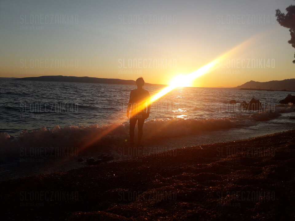 20200820_193823.jpg - sloneczniki40