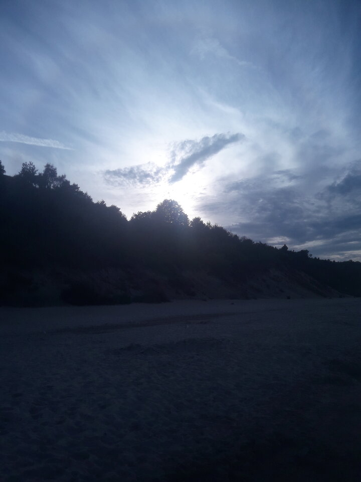 20200820_181347.jpg - dino8