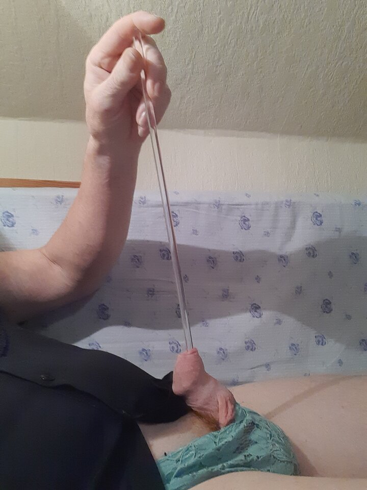 15979584236077867783053068074710.jpg - Palciusia