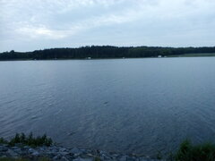 IMG_20200524_044625.jpg