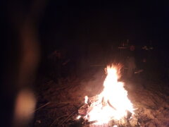 IMG_20200419_011239.jpg