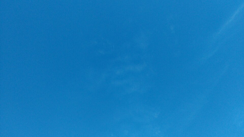 IMAG0136.jpg - piotry1900