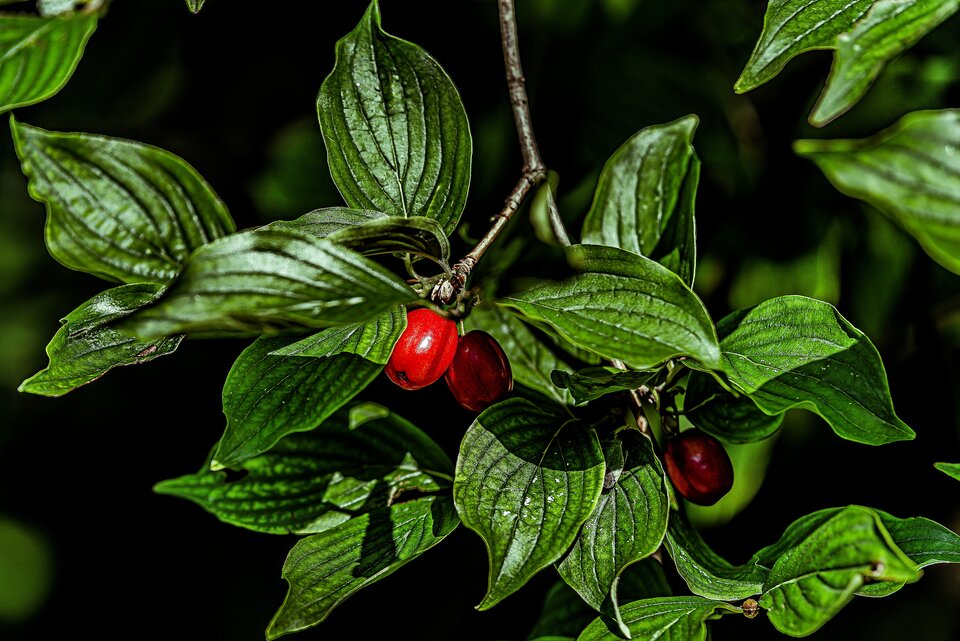 Parkowe klimaty9 - mystic