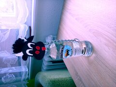 20200822_160759.jpg