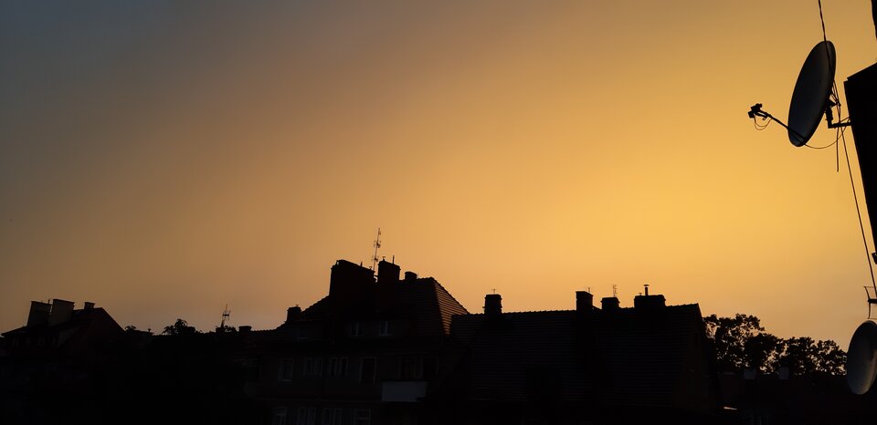 Pomaranczowy pornol.jpg - FanForFun