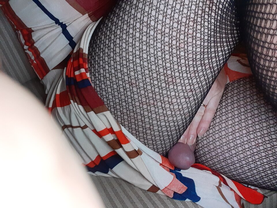 15981284635856284985793358655480.jpg - Palciusia