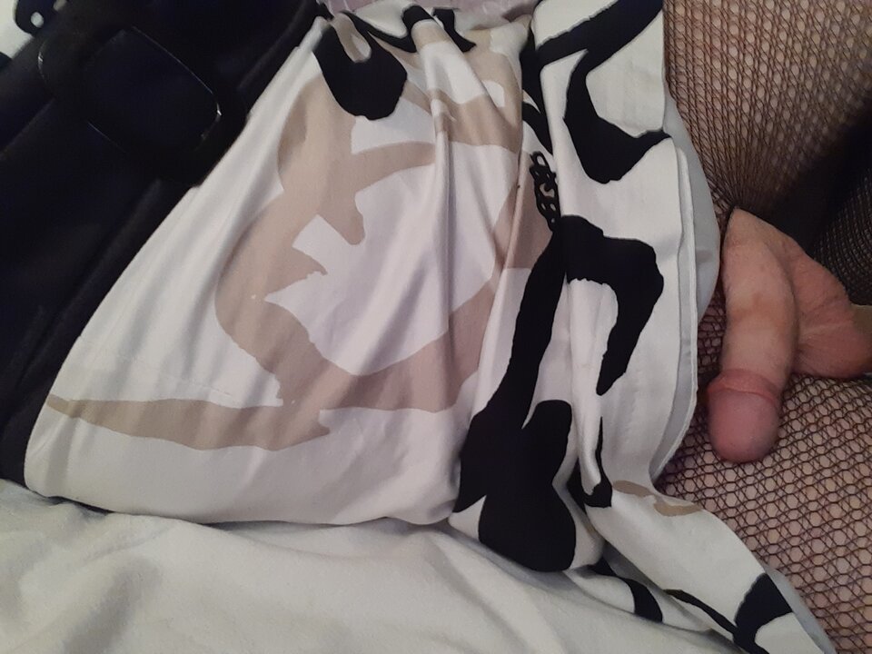 15981339690754044249865306607327.jpg - Palciusia