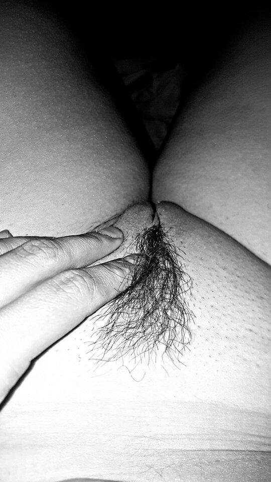 Taka fantazja na dziś  - MBSL