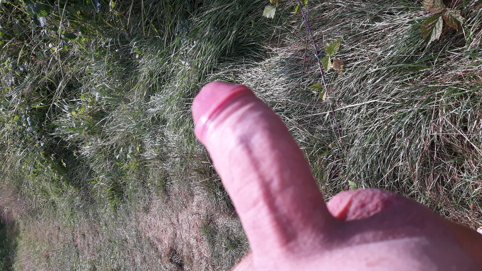 20200823_141248.jpg - krzys122345