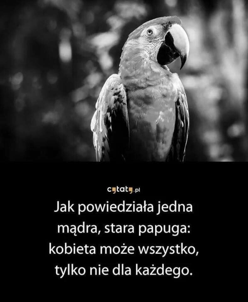 FB_IMG_1598199830994.jpg - Dojrzali100
