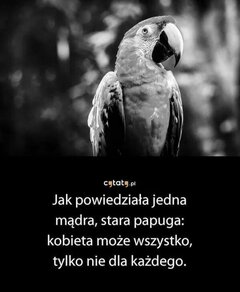 FB_IMG_1598199830994.jpg