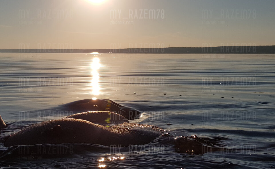 20200823jpg - my_razem78