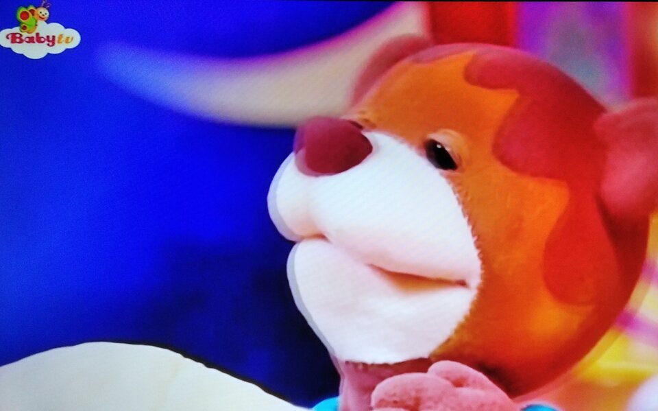 IMG_20200823_214353.jpg - Zedmefree