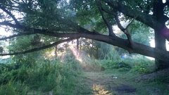 Jesień idzie przez park