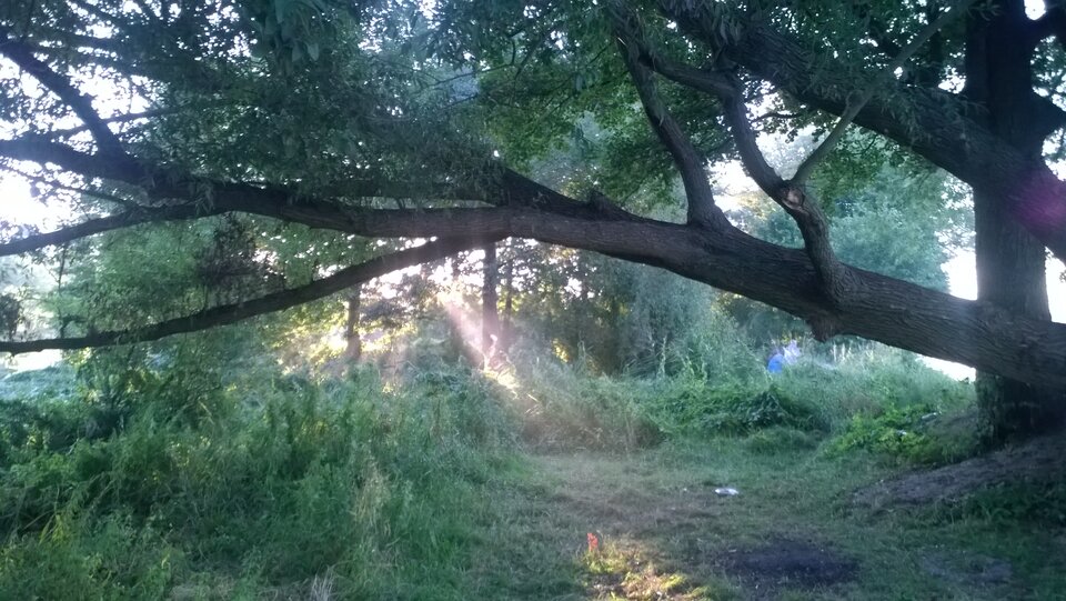Jesień idzie przez park - Ratl