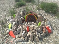IMG_20200824_111148740.jpg
