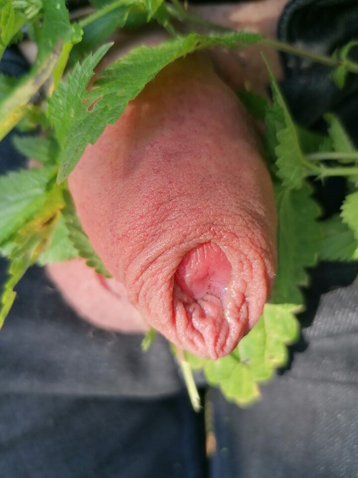 Blisko z natura_20200824_142232.jpg - RATCVAC