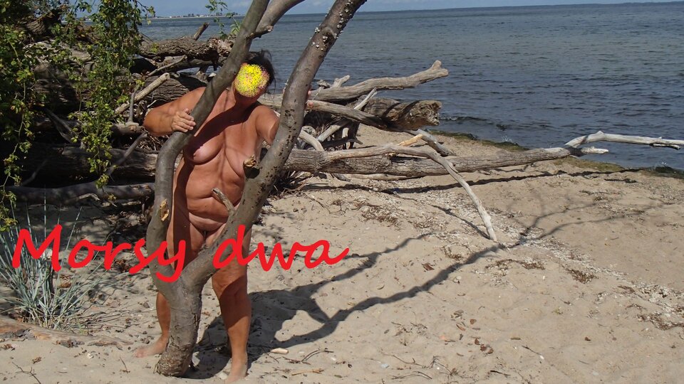 Zbiornik 1319 - Morsy_dwa